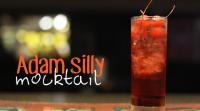 adam-silly-mocktail