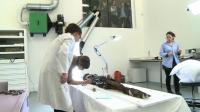 crocodile-mummy-restored-in-front-of-crowds-at-louvre-lens