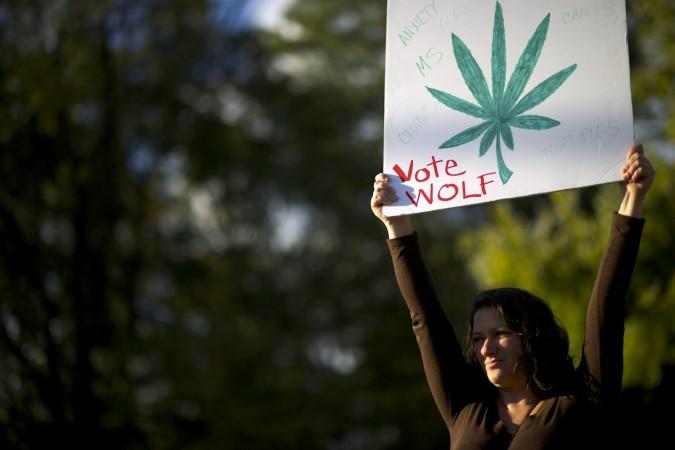 The Election Day 2014 drama will decide the fate of marijuana, abortion laws and minimum wage rate. (Photo: Shawnelle Dodds, 38, waves a sign in support of legalizing marijuana to vote for Democratic candidate for Pennsylvania Governor Tom Wolf) The Election Day 2014 drama will decide the fate of marijuana, abortion laws and minimum wage rate.