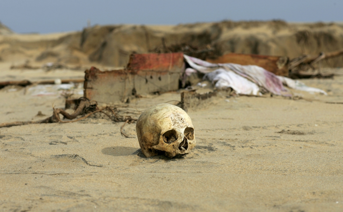 A skull displaced from its coffin in a grave that was unearthed by the tsunami last weekend lies on roadside in Sinnamunhattuvaram on Sri Lanka's east coast. Waves of Tsunami 2004 destroyed countries and killed many people