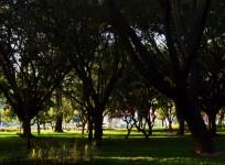 parks in Bengaluru