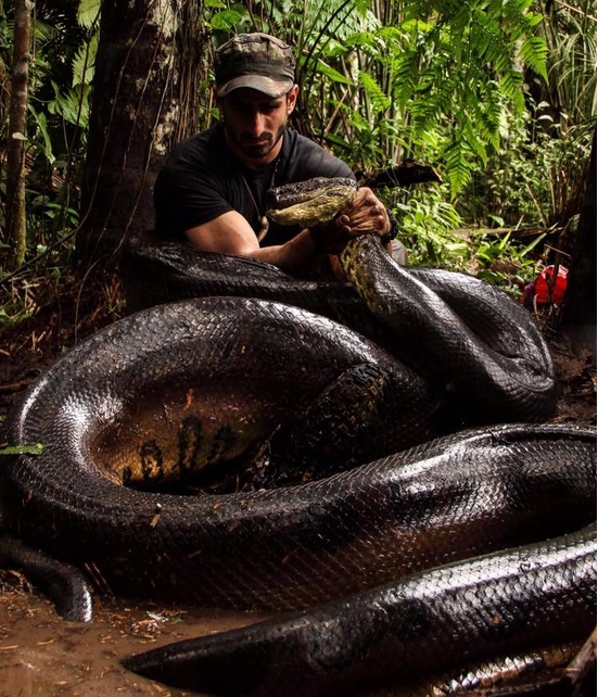 discovery-channel-s-eaten-alive-will-see-paul-rosolie-getting-eaten-by-anaconda.jpg