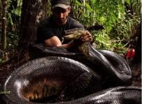 Discovery Channel 's Eaten Alive will see Paul Rosolie getting eaten by an Anaconda
