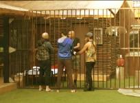 Bigg Boss 8: Puneet Issar Back in House; Arya goes on Hunger Strike to Get Him Out
