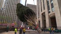 nycs-rockefeller-center-recevives-traditional-christmas-tree