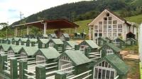secret-farc-cemetery-awaits-peace-deal-in-colombia