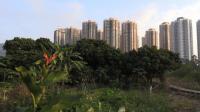 hong-kong-farmers-protest-over-tycoon-land-grab