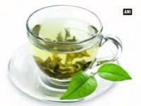 How green tea protects your brain during Spinal Cord injury