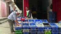 gaza-sends-fish-to-west-bank-for-first-time-in-years