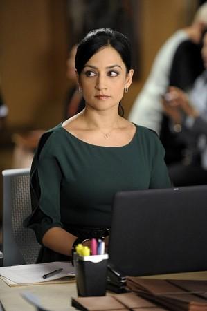 The Good Wife