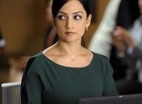 The Good Wife