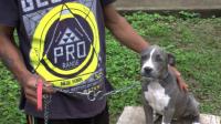 ecuador-prison-uses-dog-therapy-with-inmates