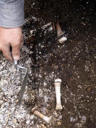 Remains of Ice Age Babies Found in Alaska