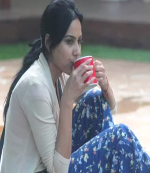 Karishma Tanna, Gauhar Khan, Dolly Bindra and Other Real Faces of 'Bigg Boss' Contestants without Make-up