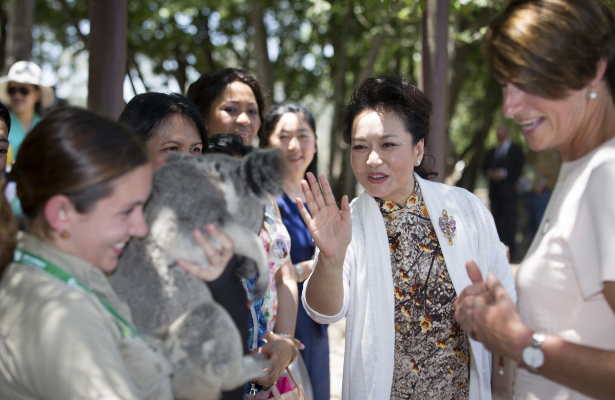Peng Liyuan (C), wife of China's President XI Jinping, waves to a koala while on a G20 spouses visit to a koala sanctuary at the G20 leaders summit in Brisbane. G20 Summit 2014