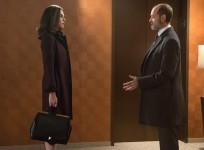 The Good Wife
