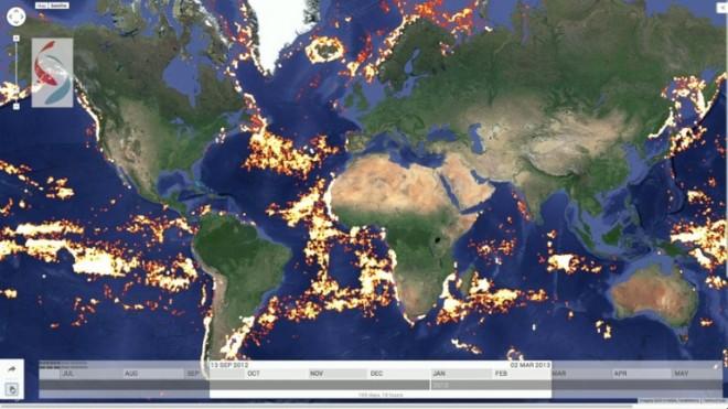 Google Thrives To Put An End To Illegal Fishing With Global Fishing Watch