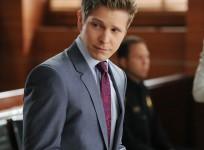 The Good Wife