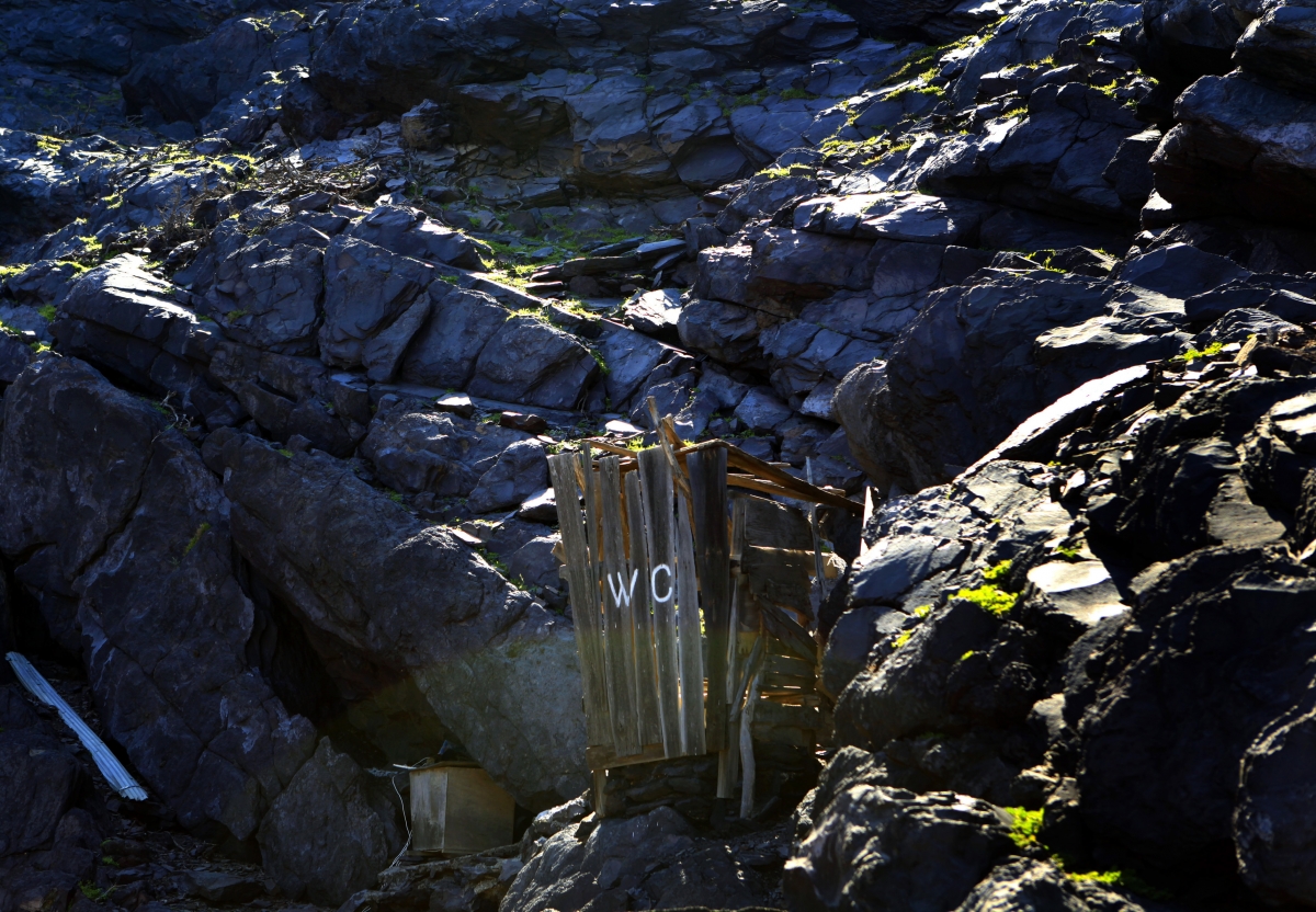 World Toilet Day 2014