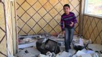 israel-destroys-jerusalem-home-of-palestinian-car-killer