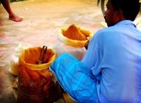 turmeric