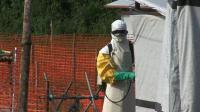 training-helps-farmers-in-sierra-leones-ebola-hit-areas