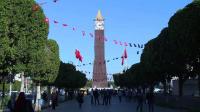 tunisian-graduates-face-low-skills-job-market