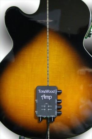 ToneWoodAmp for Accoustic Guitars ToneWoodAmp for Accoustic Guitars
