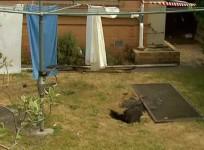 Sinkhole that Trapped Australian Woman was an Old Well