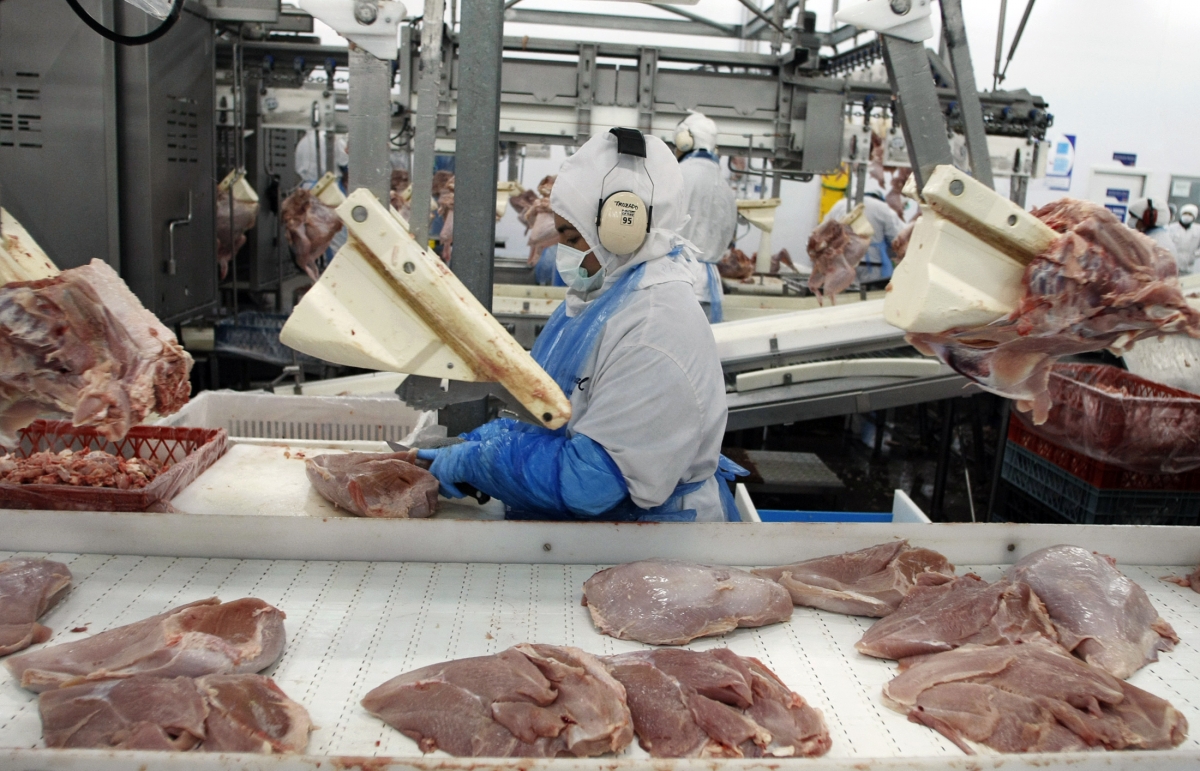 A worker processes turkeys at a food processing plant