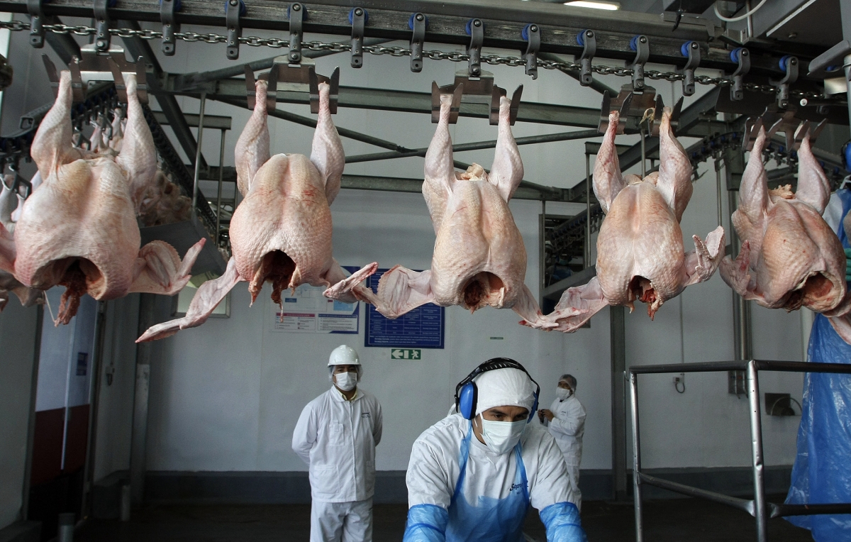 Turkeys are seen at a food processing plant