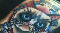 cat-tattoos-or-cattoos-the-latest-craze-in-new-york