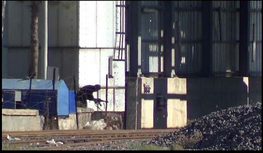 An ISIS fighter crossing into Kobane from Turkey. An ISIS fighter crossing into Kobane from Turkey.