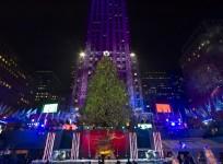 The tree is seen during the Annual Rockefeller Center Christmas Tree Lighting Ceremony in New York December 4 last year.