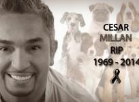 A hoax report claimed that 'dog whisperer' Cesar Millan had died of heart attack.