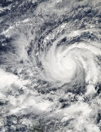 Typhoon