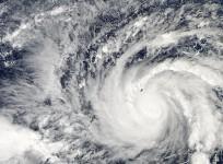 Typhoon