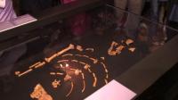 new-ethiopia-museum-opens-to-mark-40-yrs-since-lucy-discovery