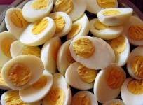 Egg