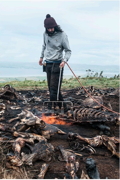 Danaerys' dragons cause more havoc