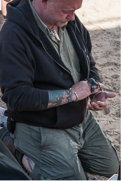 Scorpions in Game of Thrones