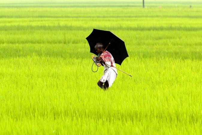 Farmer