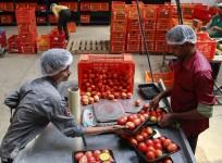 Agricultural products