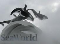 SeaWorld