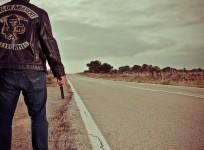 Sons of Anarchy Actor kills ex's pet