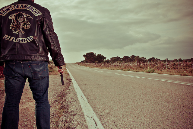 Sons of Anarchy Actor kills ex's pet