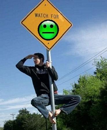 idiots, stupid