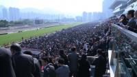 racing-designs-on-rome-wins-hong-kong-cup