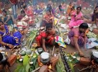Pongal
