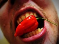 chili